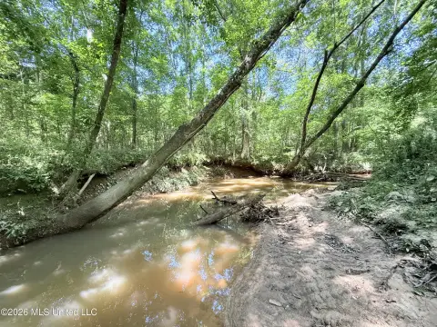 Waterfront Hunting Tract with Riverfront