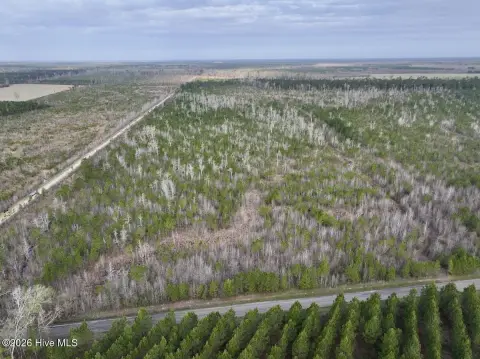 37-Acre Hunting Land in Ernul, NC