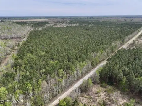 25 Acres of Hunting Land