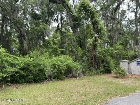 Acre Lot in Tolomato Island
