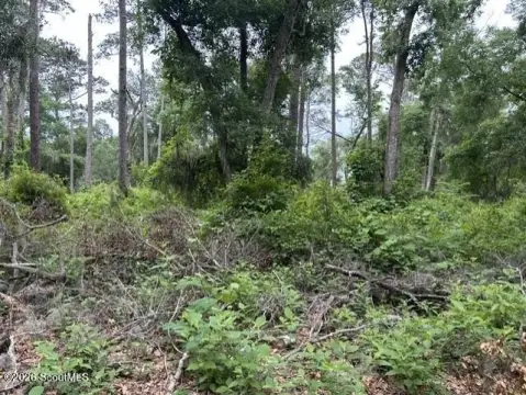 Half Acre Lot in Darien