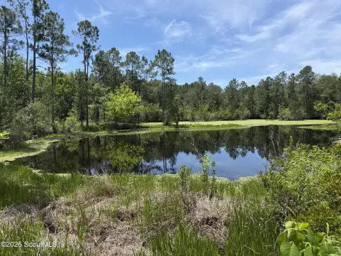 Waycross Land with Pond