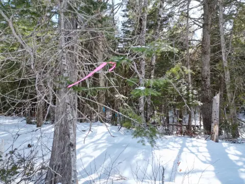 2.4-Acre Lot Near Center Pond