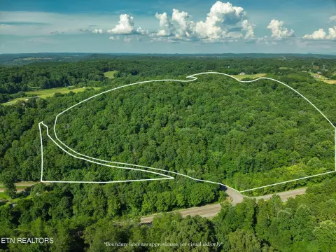 Unrestricted Wooded Mountain Land