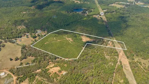 Pine-Planted Recreational Land