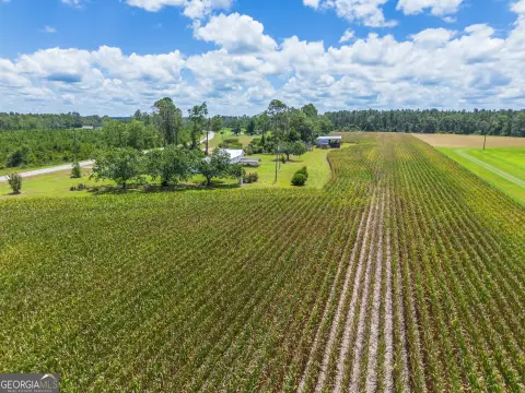 Farmland in Alma, Georgia