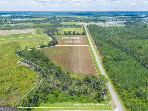 Farmland for Homesite or Agriculture