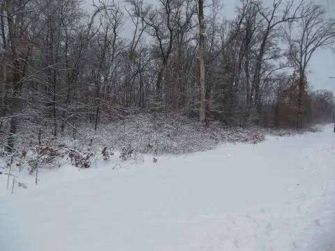Wooded Land Near Cranberry Lake