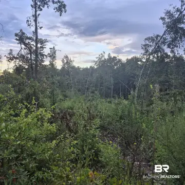 Unzoned Rural Land