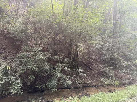 Waterfront Land with Creek Frontage