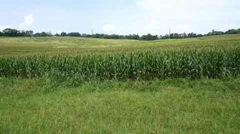 Commercial Land with Highway Exposure