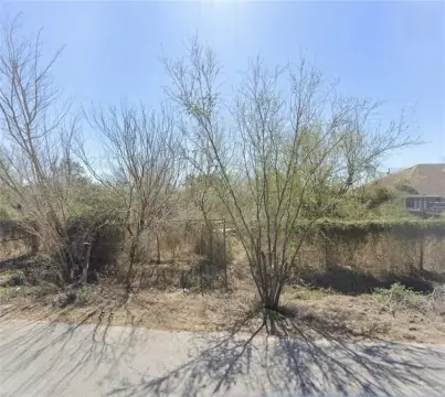 Edinburg Residential Land Opportunity