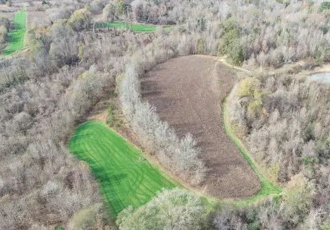 Turnkey Hunting Land with Creek
