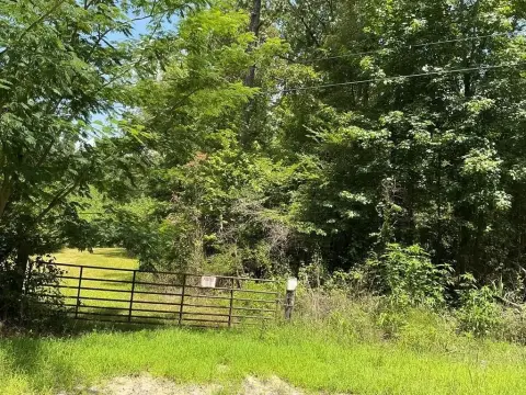 Recreational Hunting Land Tract