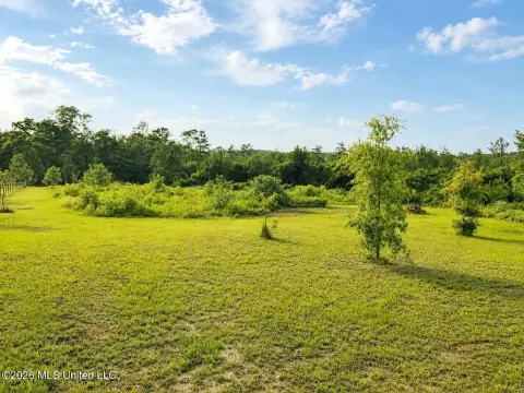 Agricultural Land Tract with Road Frontage