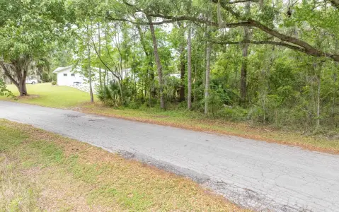 Live Oak Land Opportunity