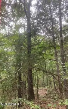 Wooded 2.75 Acre Lot