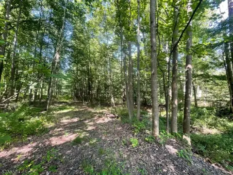 Warren Twp. Wooded Land Parcel