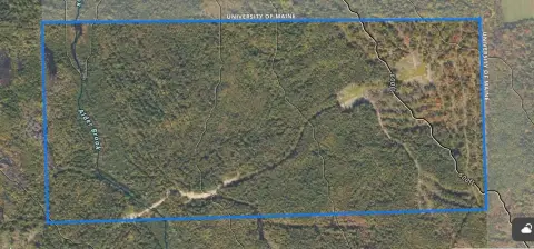 160 Acres Wooded Land Chapman