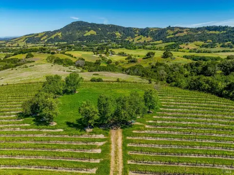 Vineyard Estate Site with Gated Access