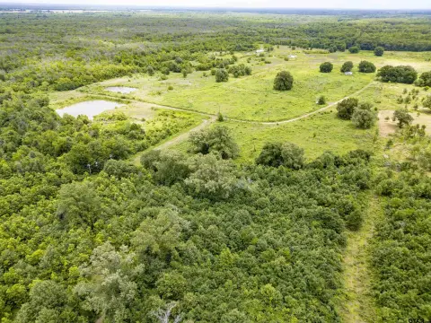 Recreation Land Tract with Ponds