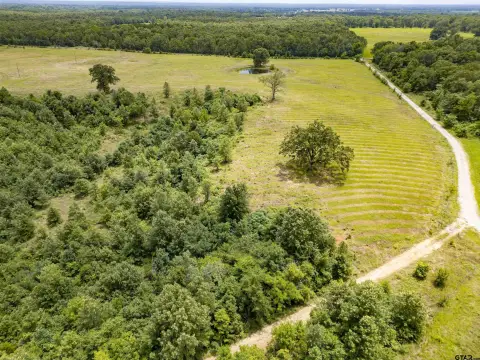 Recreational Hunting Land with Ponds
