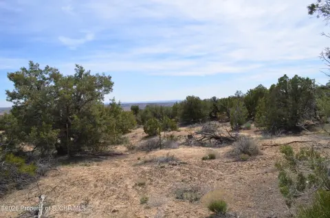 Residential Land in Farmington, NM