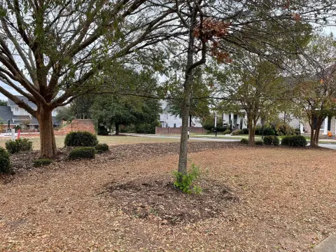 Vacant Lot in Historic Summerville