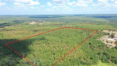 Spring-Fed Hunting Land