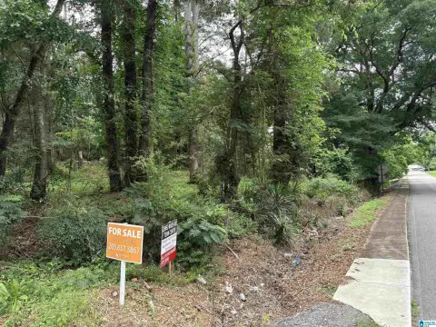Multi-Use Town Center Development Lot