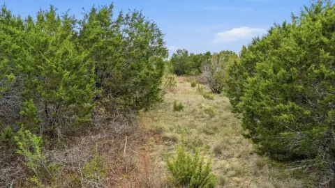 5+ Acre Hill Country Land