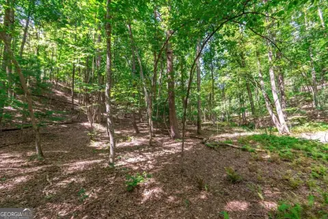 Morganton, GA Land For Sale