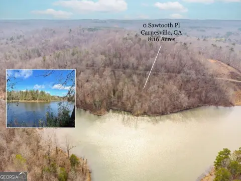 Waterfront Land in Carnesville, Georgia