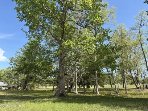 Homesite in Lake Tree Shores