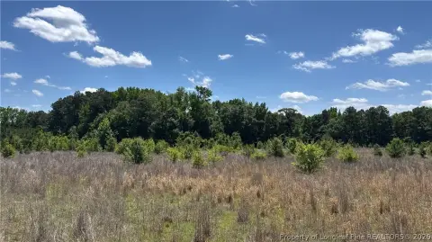 Red Springs Land For Sale
