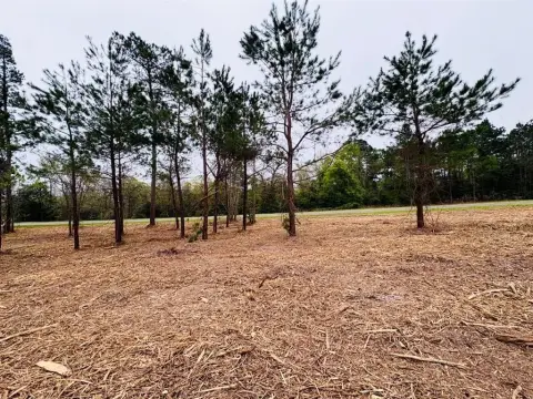 21-Acre Homesite Near Center, TX