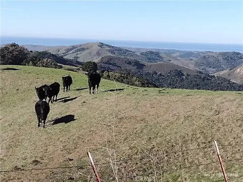 Agricultural Land with Springs