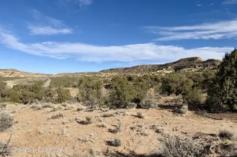 40 Acres in Blanco, NM