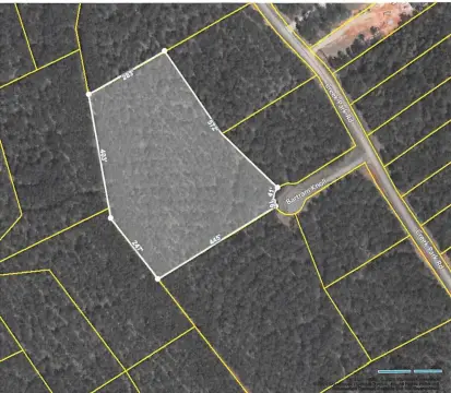 Lake Thurmond Estate Property