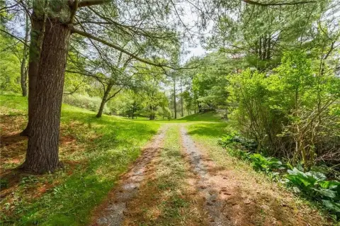 Wooded 11-Acre Ranch in Victor