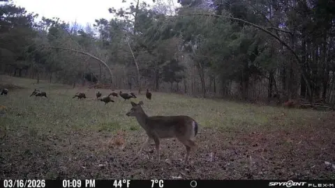 Hunting Land With Building