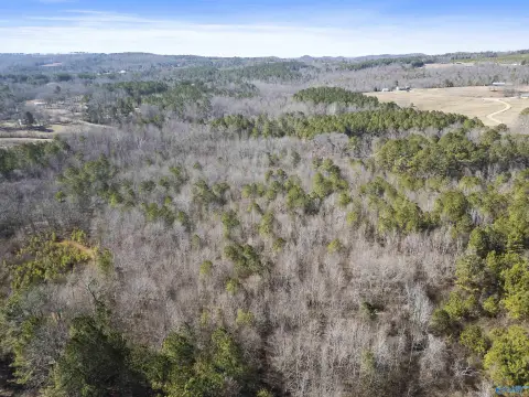 24 Acre Parcel in Gadsden