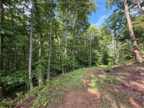 Timber-Backed Recreational Land