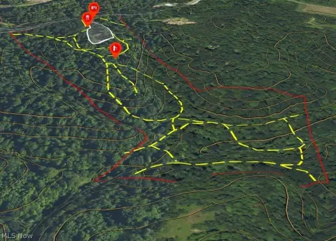 Hunting Land with Cabin Site