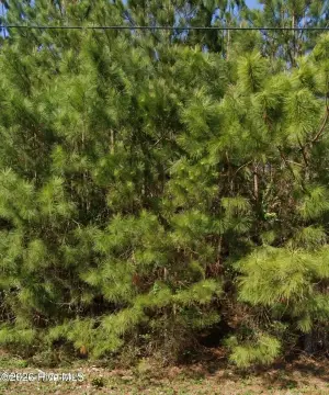 Edenton, NC Vacant Land