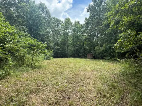 Vacant Land Near Dale Hollow