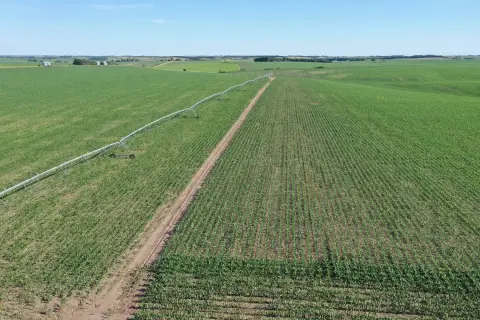 Pivot-Irrigated Farm with Grain Bins