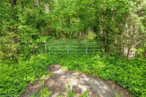 7 Acres on Highway 71