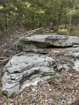 Ozark Recreational Land with Trails