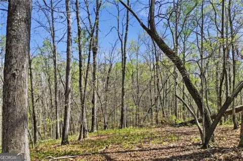 Wooded Homesite in Ball Ground
